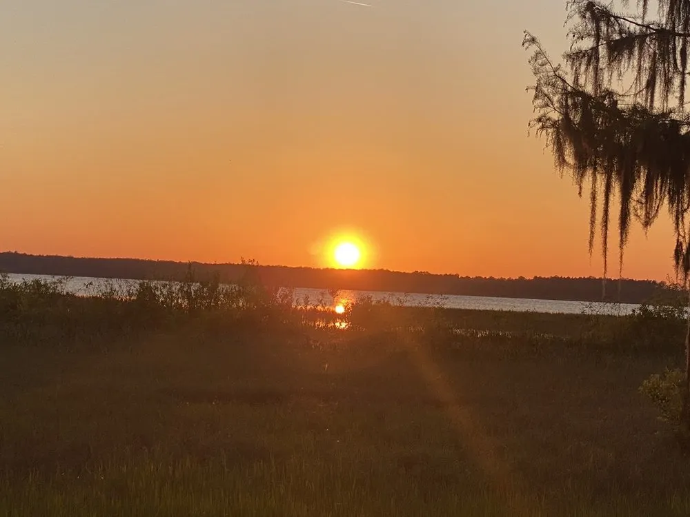 Custom landscaping services experts serving Middleburg, FL - A&N Lawn Service