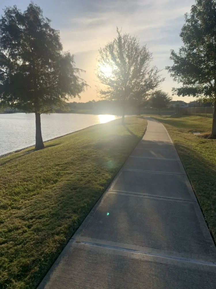 Expert lawn care service for outdoor upgrades across Pearland, TX - A&N Lawn Service