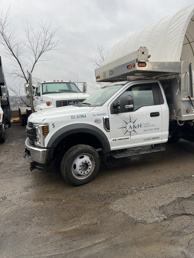 Expert yard cleanup service for homes in West View, PA by A&N Lawn Service