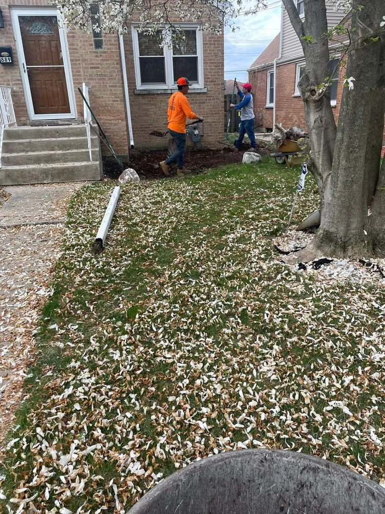 Local lawn care service for beautiful yards in Des Plaines, IL by AN Lopez´s Landscaping