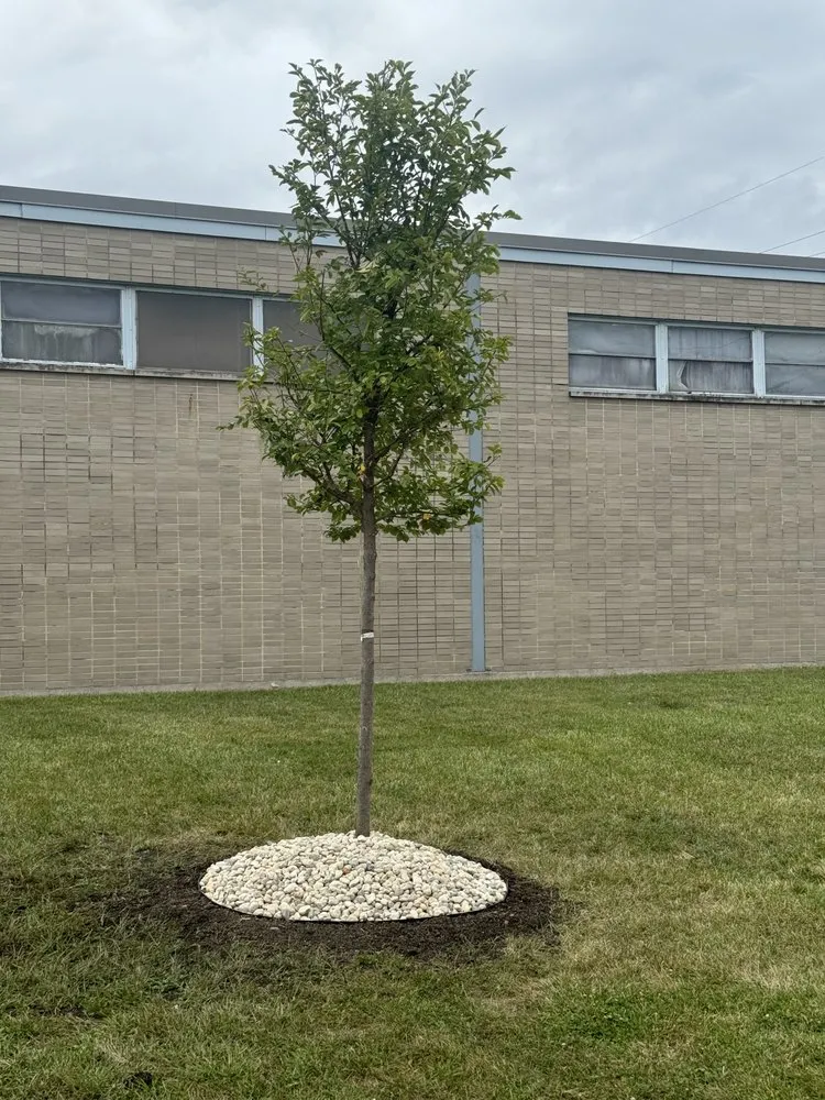 Expert residential landscaping for year-round maintenance across Des Plaines, IL - AN Lopez´s Landscaping