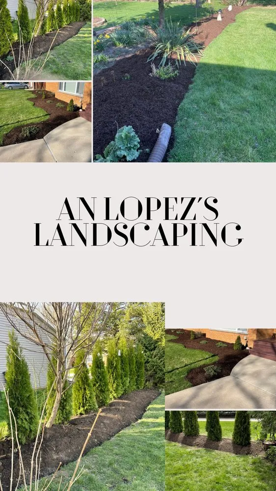 Reliable yard cleanup service in Des Plaines, IL by AN Lopez´s Landscaping