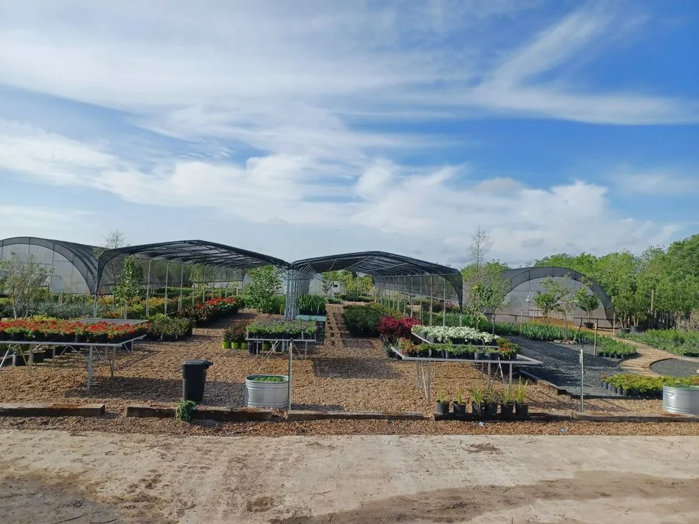 Top-rated landscape design with custom design across Houston, TX - A&N Nursery