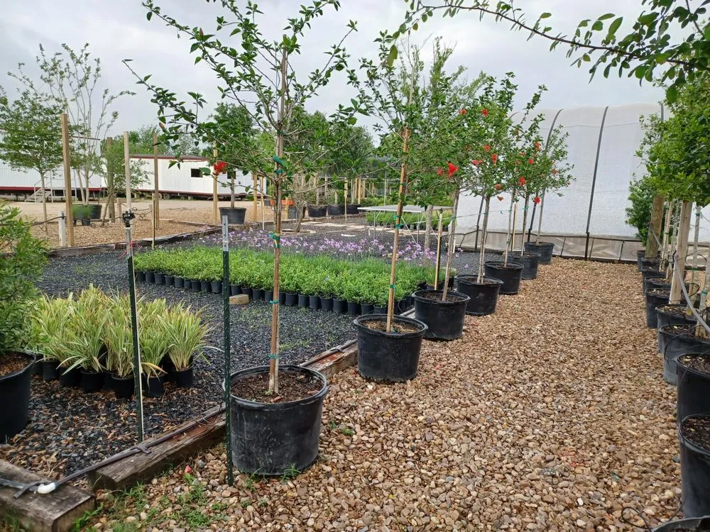 Expert lawn care service in Houston, TX - A&N Nursery