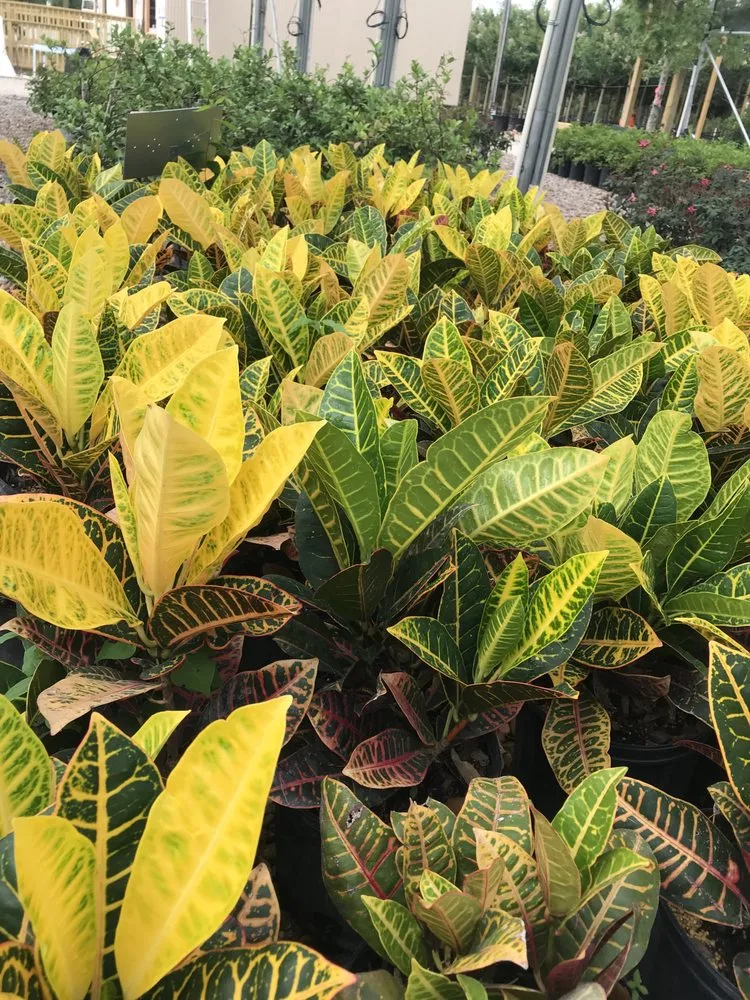 Expert garden landscaping with custom design across Houston, TX - A&N Nursery