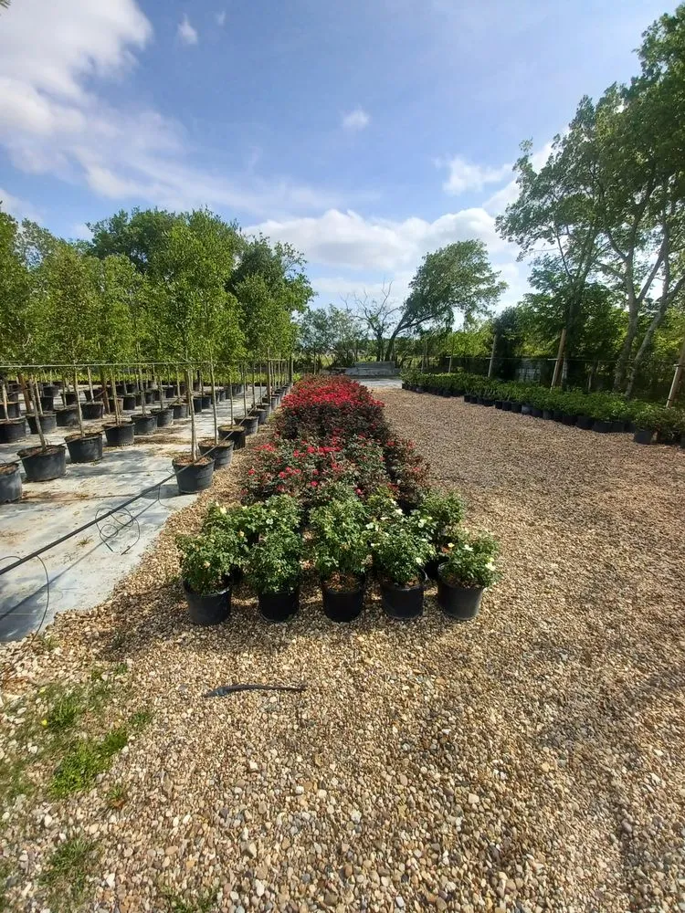 Top-rated outdoor landscaping experts serving Houston, TX - A&N Nursery