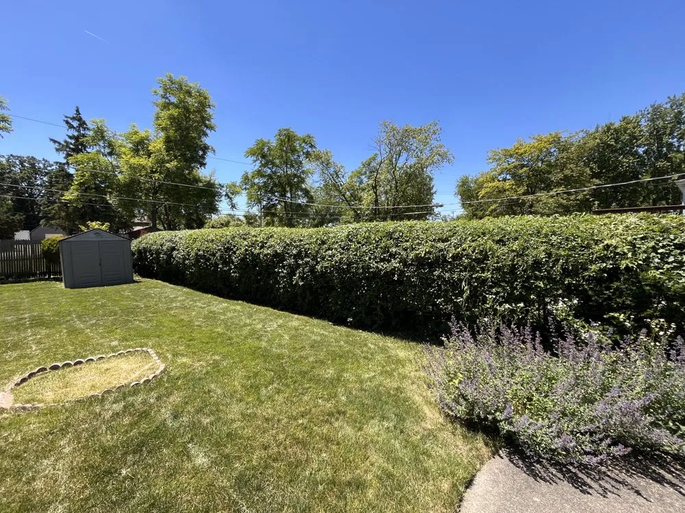 Local lawn care service for outdoor upgrades across Mt Prospect, IL - A&N Outdoor Services