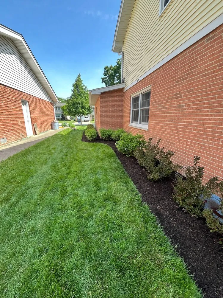 Reliable lawn care service for year-round maintenance in Mt Prospect, IL by A&N Outdoor Services