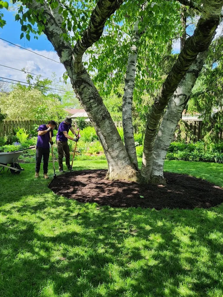 Professional landscaping services in Mt Prospect, IL - A&N Outdoor Services