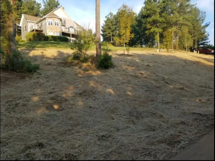 Local yard cleanup service experts serving Staten Island, NY - ANA EXCAVATION