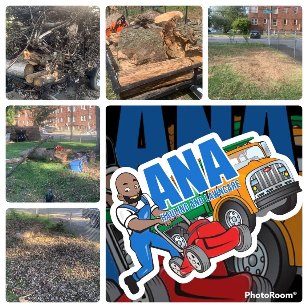 Local yard cleanup service experts serving Evansville, IN - ANA Hauling Lawn Care