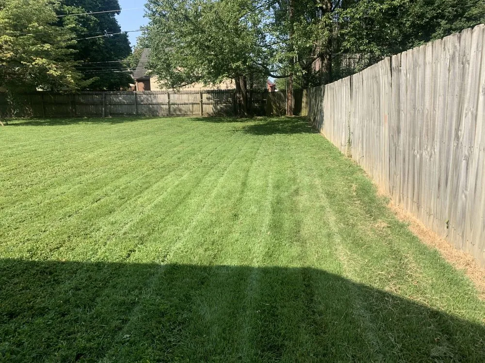 Top-rated yard maintenance in Evansville, IN by ANA Hauling Lawn Care