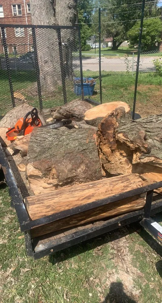 Top-rated landscape design in Evansville, IN by ANA Hauling Lawn Care