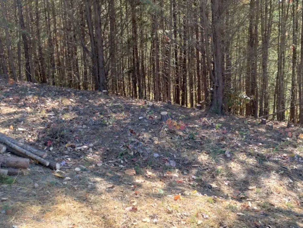 Top-rated garden landscaping for homes across Newport, TN - ANA Lawn Care