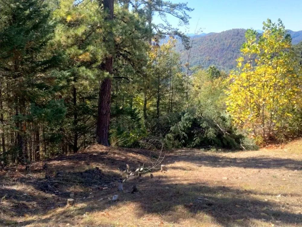 Expert landscaping services in Newport, TN by ANA Lawn Care