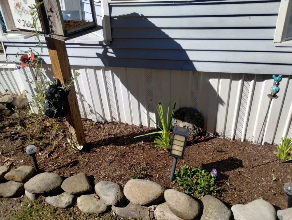 Expert yard maintenance in Newport, TN - ANA Lawn Care