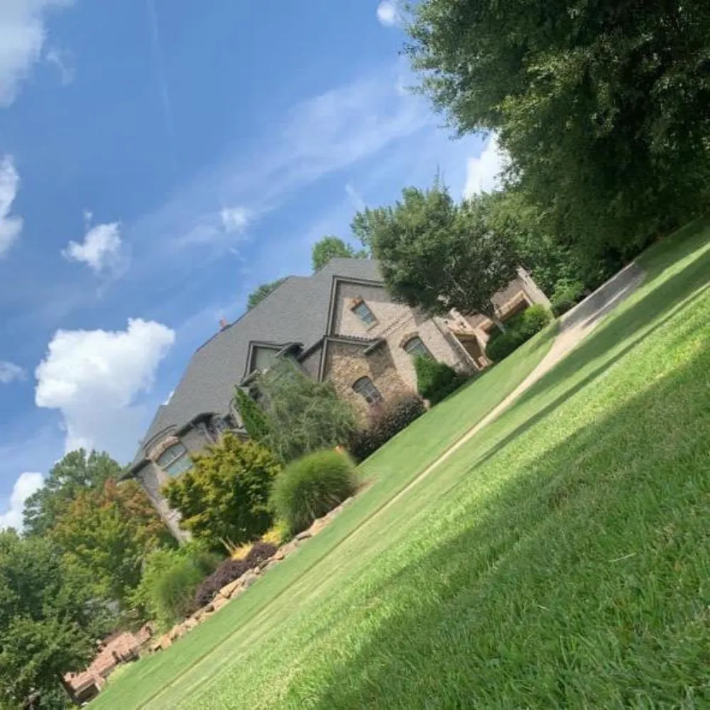 Top-rated yard cleanup service in Cumming, GA - Ana Ortiz