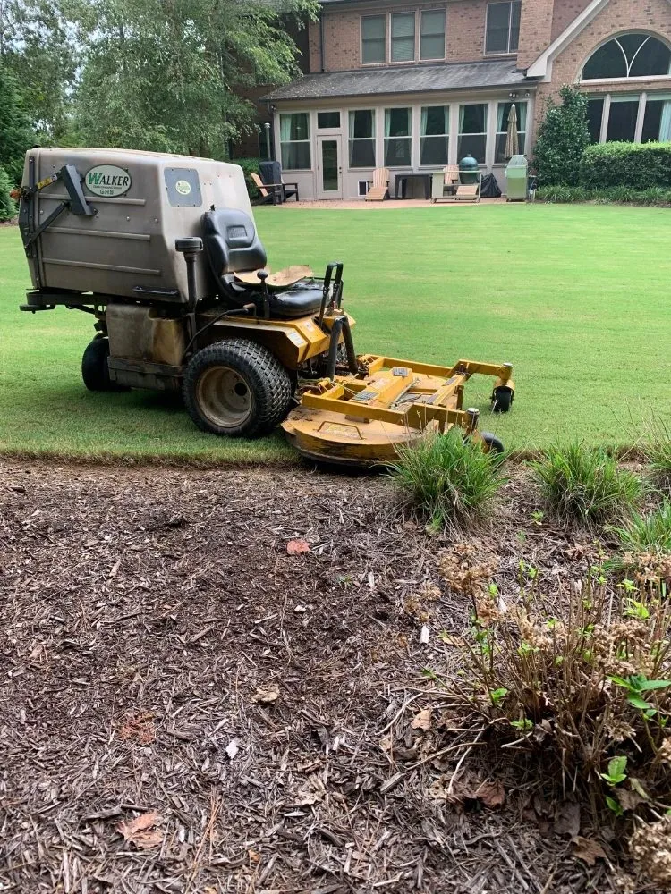 Reliable landscaping services experts serving Cumming, GA - Ana Ortiz
