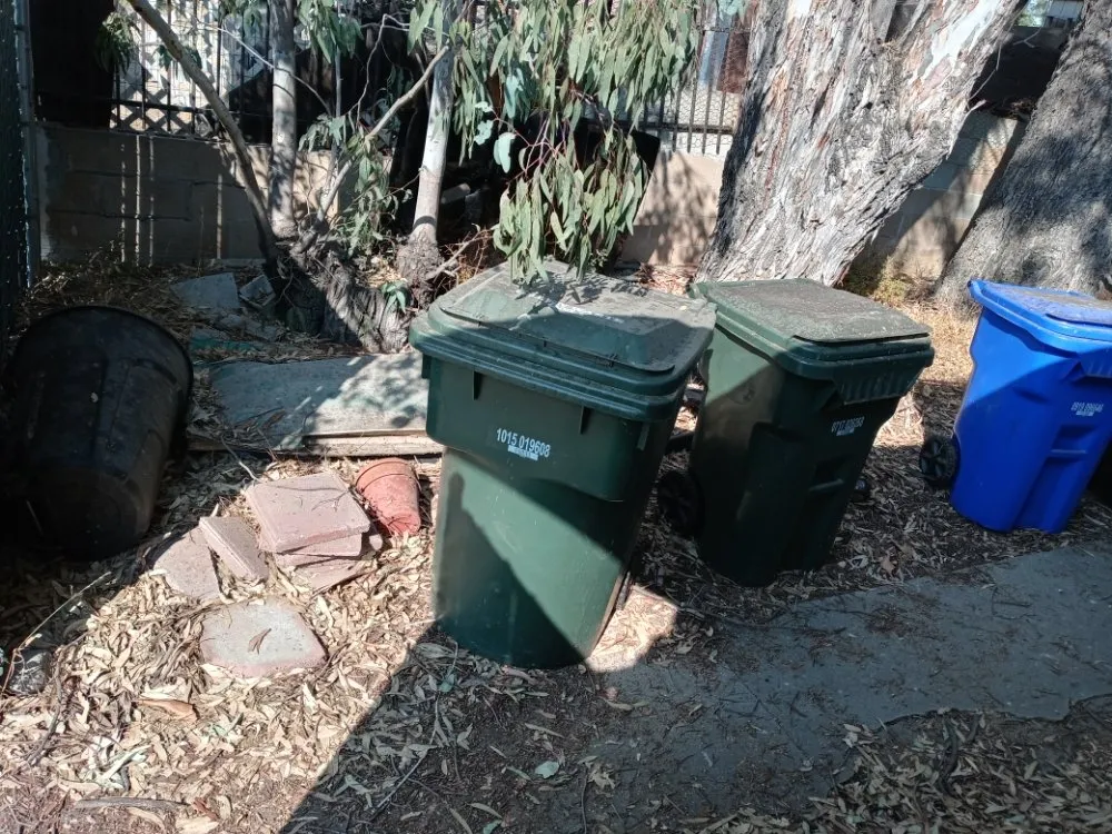 Expert outdoor landscaping in San Bernardino, CA - Anabelle's Landscaping and Gardening Services