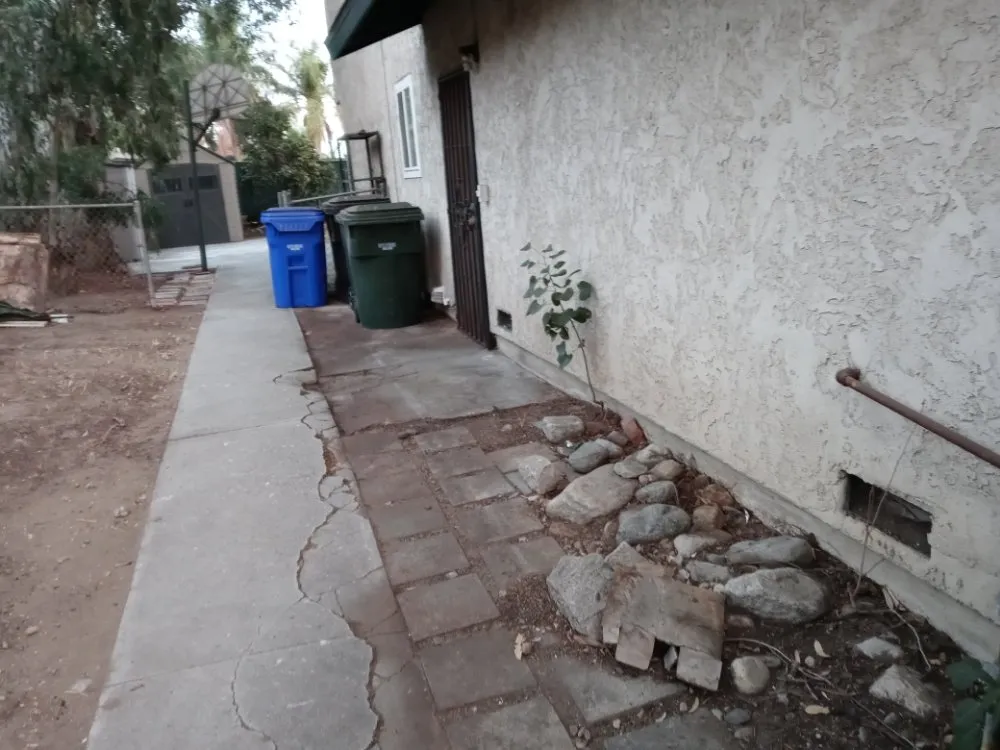 Custom yard cleanup service in San Bernardino, CA - Anabelle's Landscaping and Gardening Services