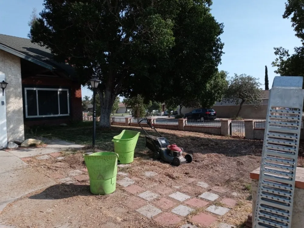 Custom lawn care service for homes in San Bernardino, CA by Anabelle's Landscaping and Gardening Services