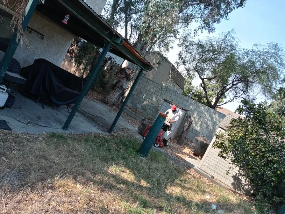 Local yard cleanup service in San Bernardino, CA - Anabelle's Landscaping and Gardening Services