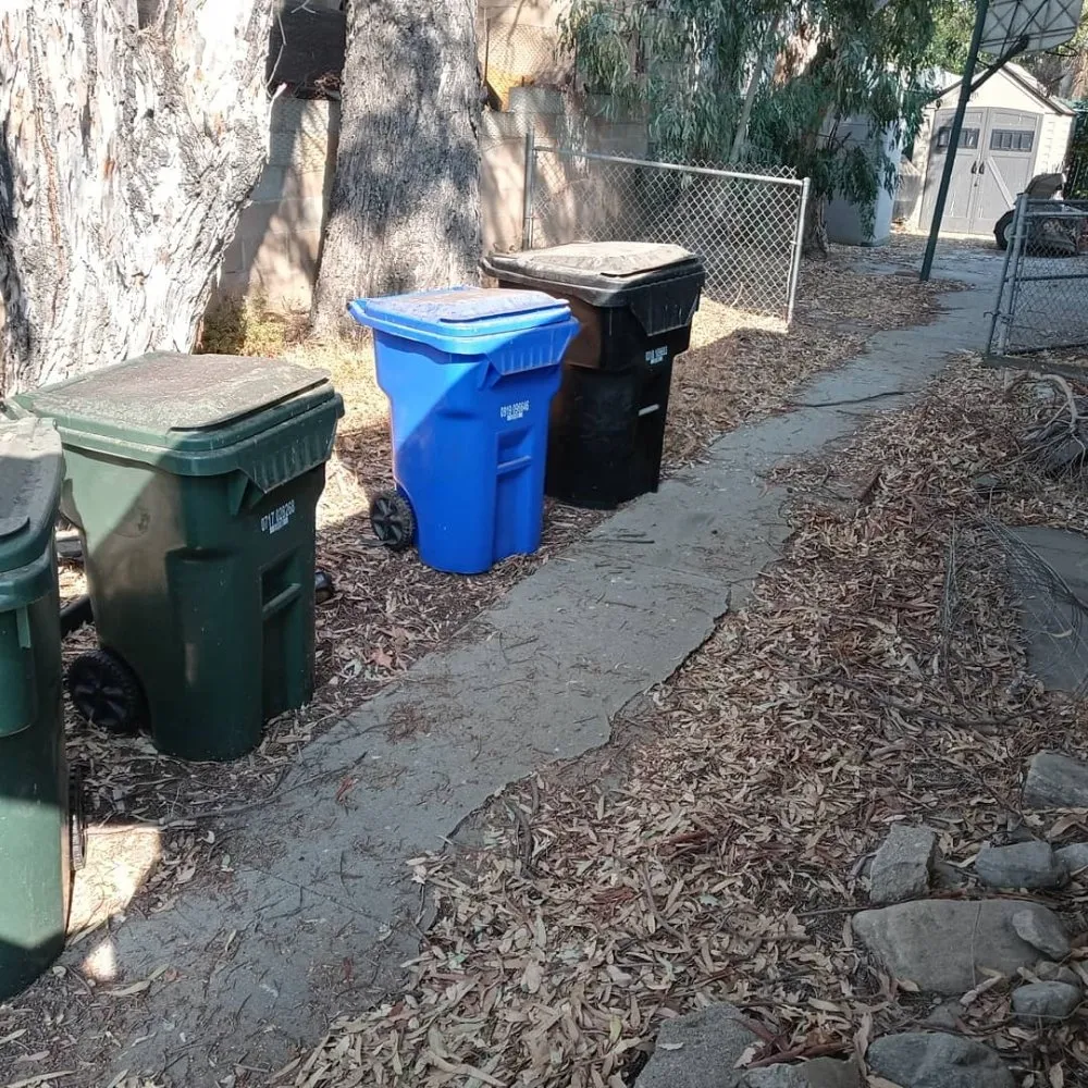 Trusted yard cleanup service for beautiful yards across San Bernardino, CA - Anabelle's Landscaping and Gardening Services