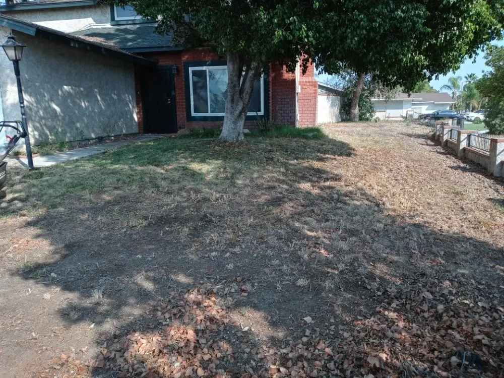 Affordable landscape design for homes in San Bernardino, CA by Anabelle's Landscaping and Gardening Services