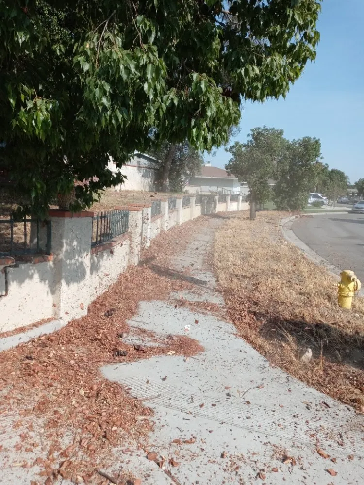 Local landscape installation for beautiful yards in San Bernardino, CA by Anabelle's Landscaping and Gardening Services