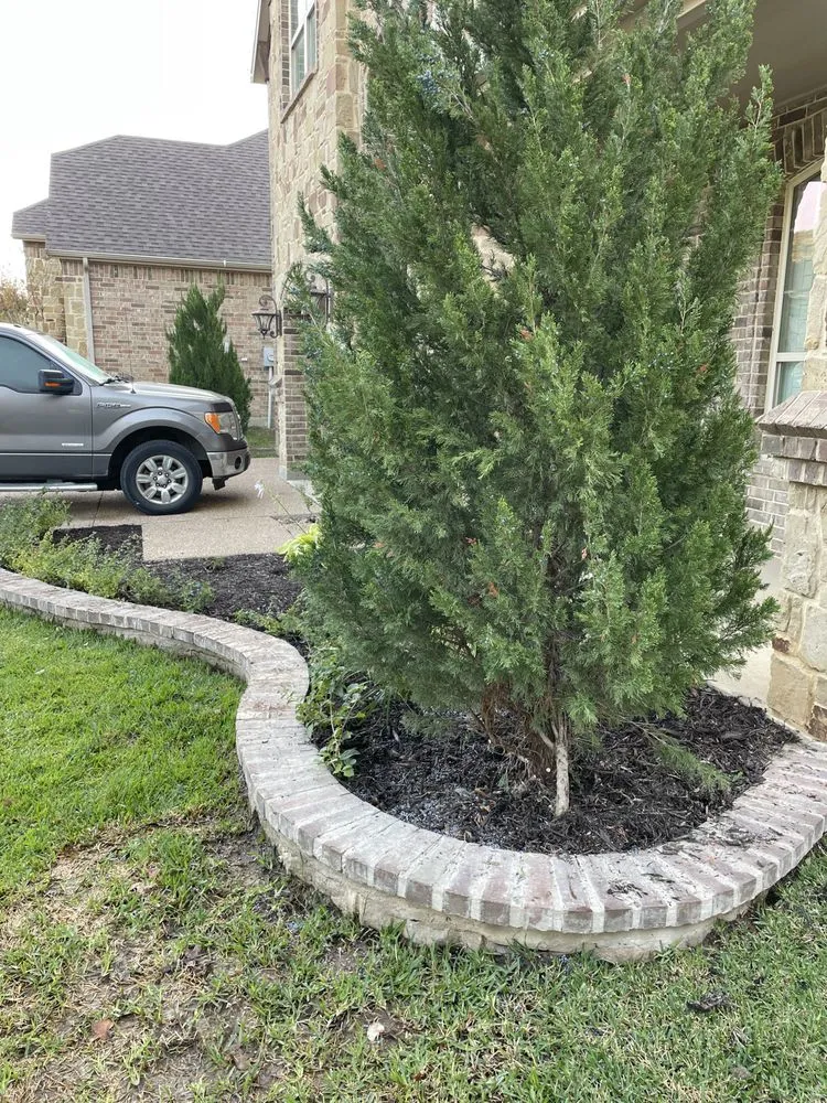 Reliable outdoor landscaping in Arlington, TX by Anariba
