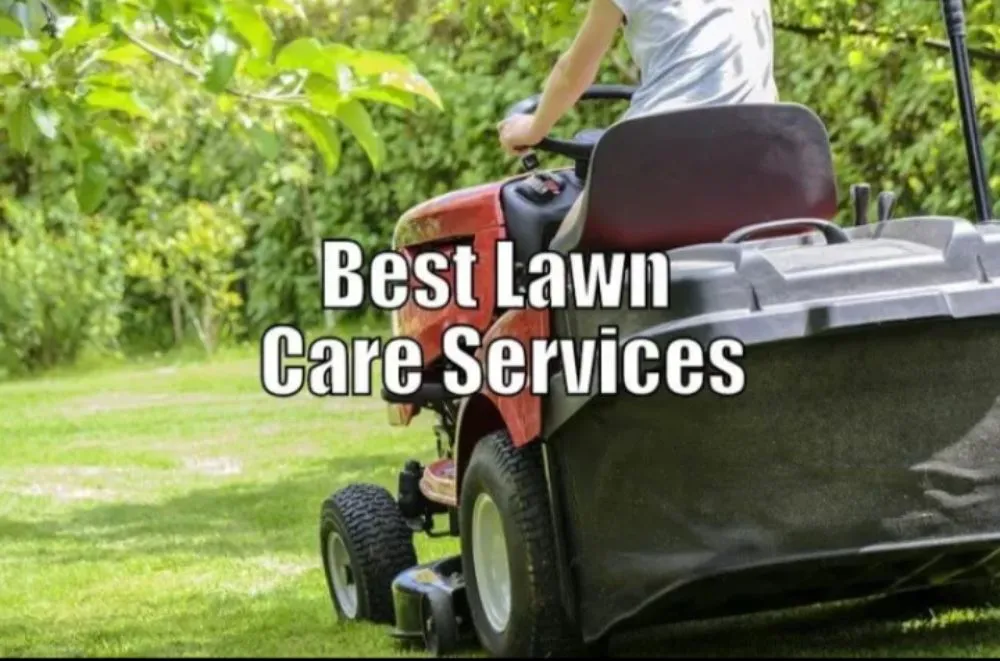 Professional outdoor landscaping experts serving Port Richey, FL - Ana's Local Lawn Care Services