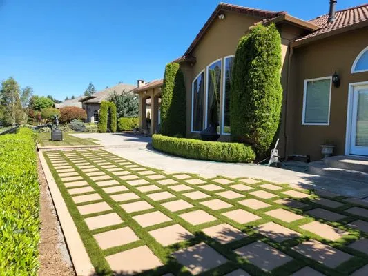 Anaya Paving & Landscaping LLC