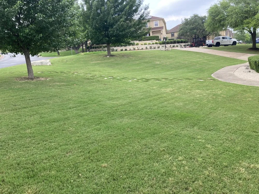 Local yard cleanup service for year-round maintenance across Elgin, TX - ANC Landscaping