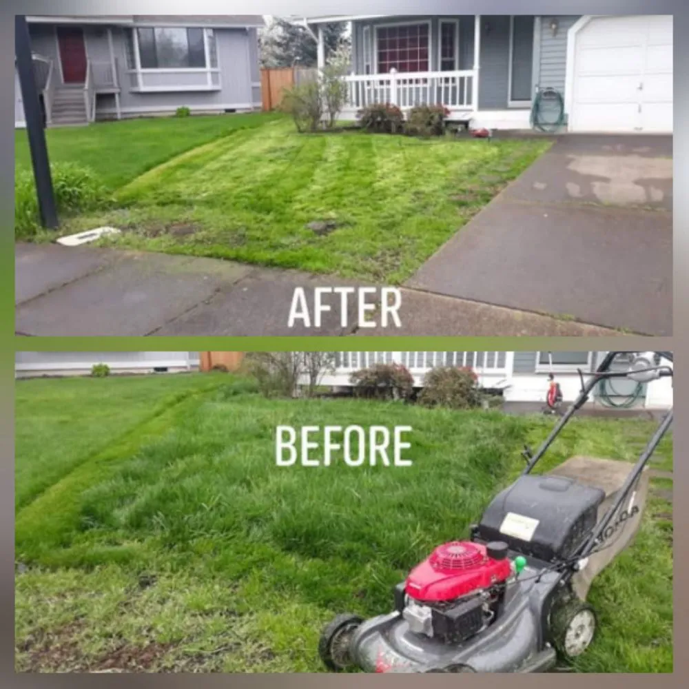 Local landscape design for beautiful yards across Eugene, OR - ANC Landscaping