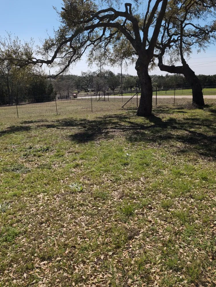 Reliable outdoor landscaping in San Antonio, TX by Anchor & Shield Services