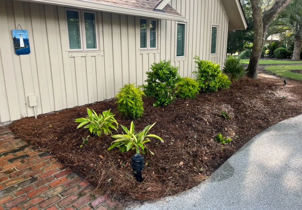 Local yard cleanup service experts serving Hilton Head Island, SC - Anchor Land Services