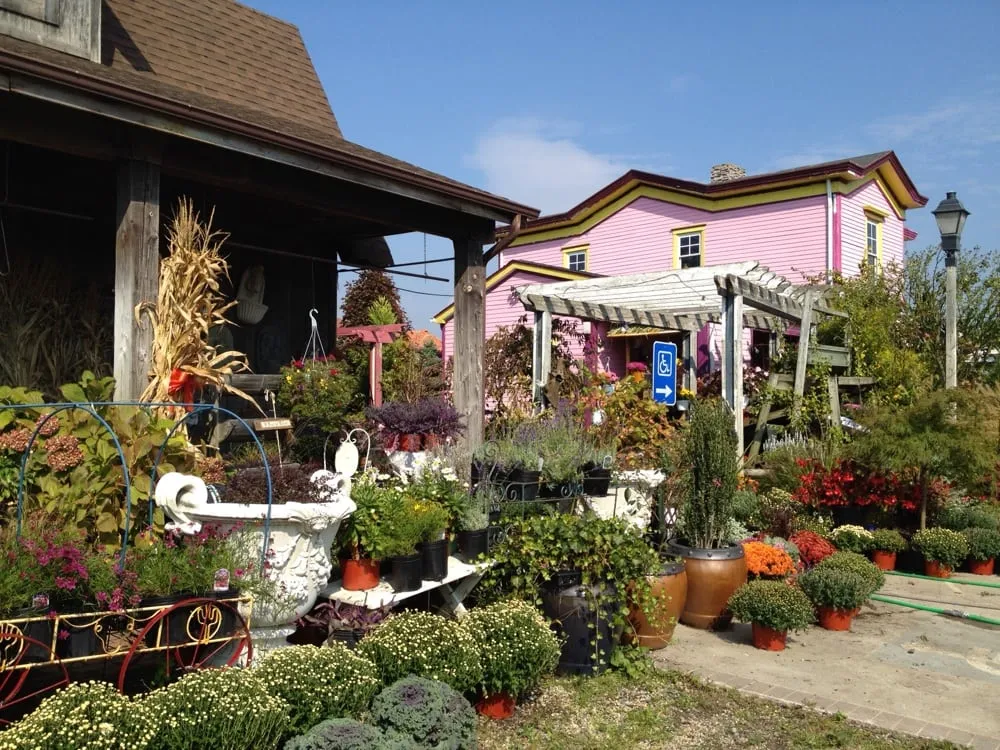 Affordable landscape design for outdoor upgrades across Sayville, NY - Anchor Landscape Incorporated