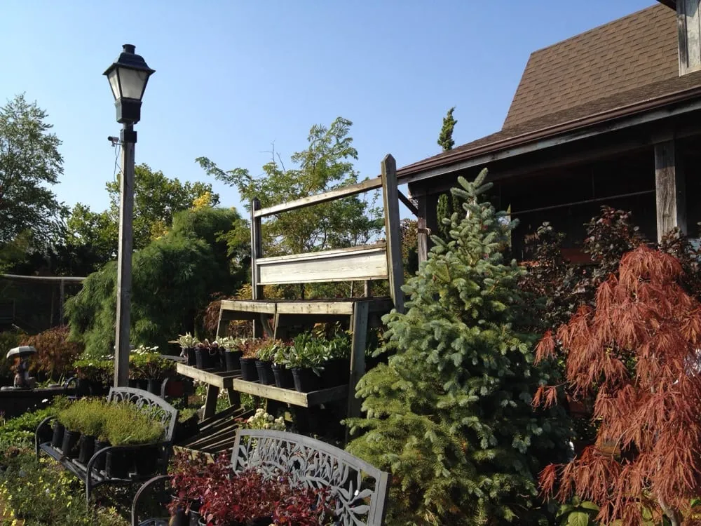 Custom yard maintenance in Sayville, NY - Anchor Landscape Incorporated