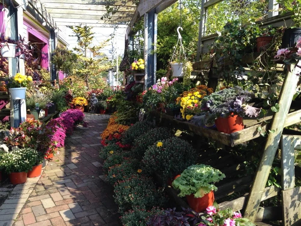 Top-rated yard maintenance in Sayville, NY - Anchor Landscape Incorporated