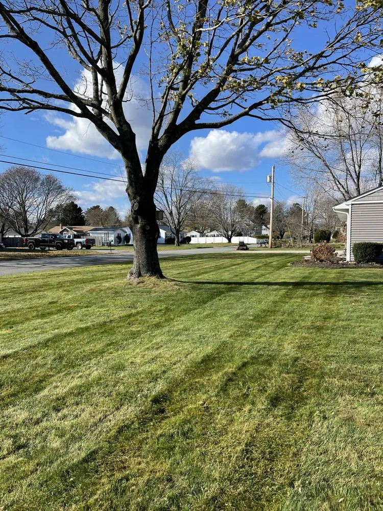 Affordable yard cleanup service in North Hampton, NH by Anchor Landscape