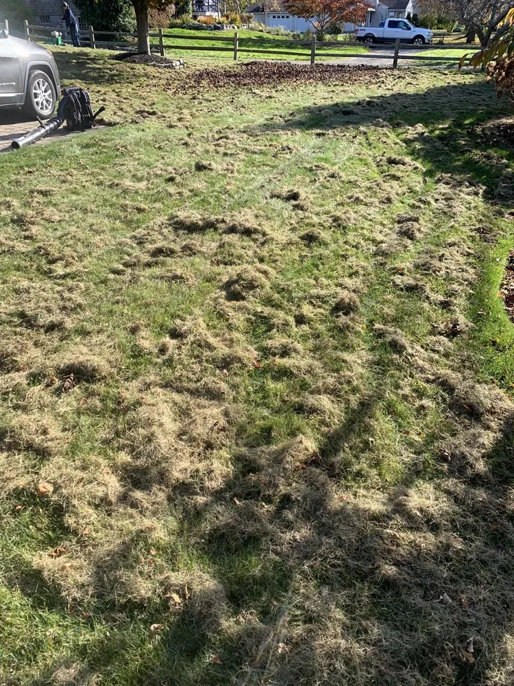 Reliable landscaping services in North Hampton, NH - Anchor Landscape