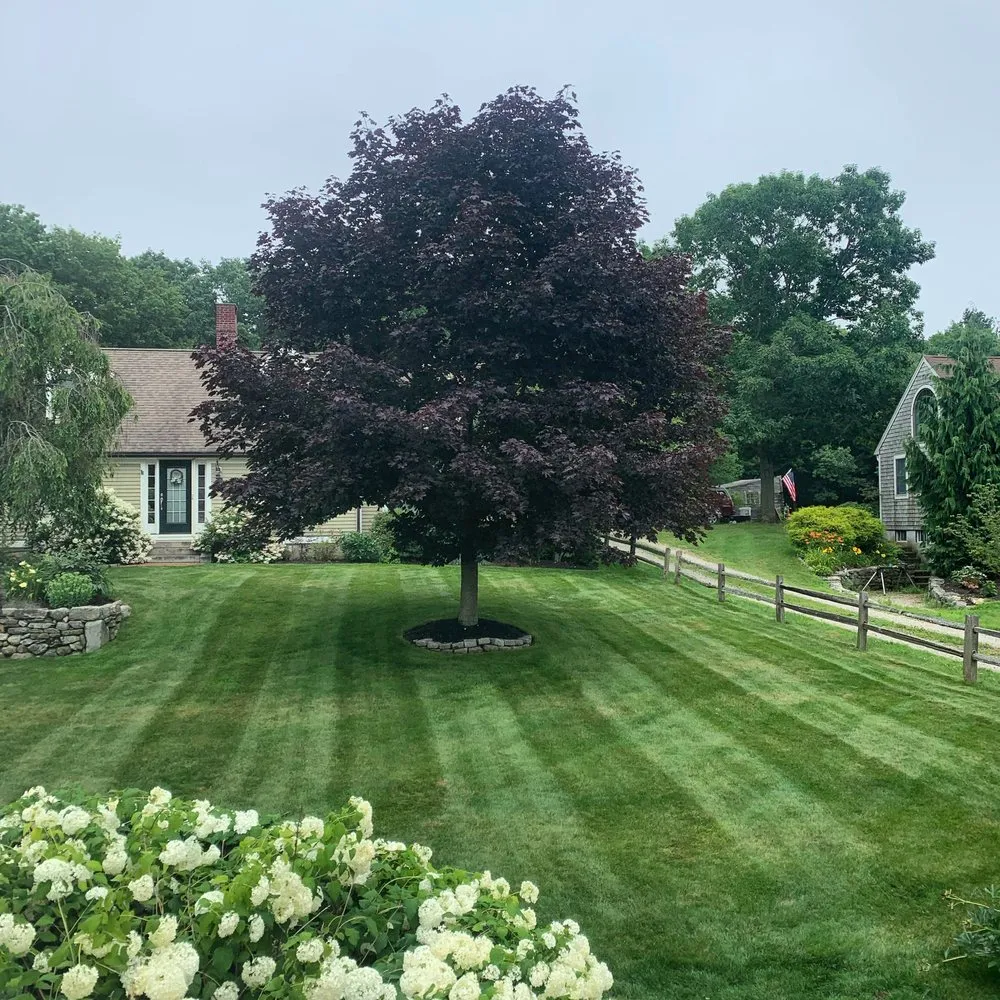 Local lawn mowing service experts serving North Hampton, NH - Anchor Landscape