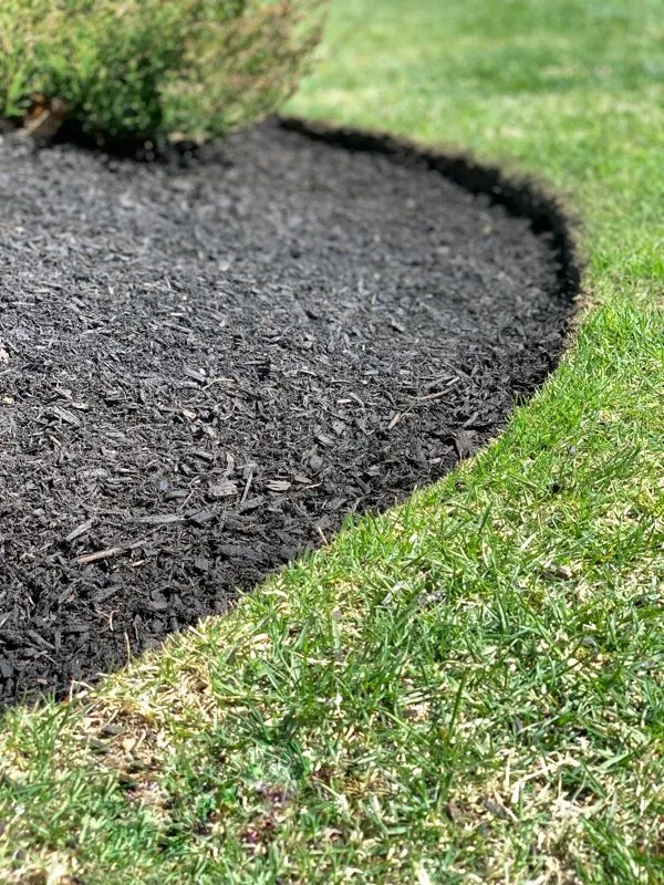 Expert lawn care service experts serving North Hampton, NH - Anchor Landscape