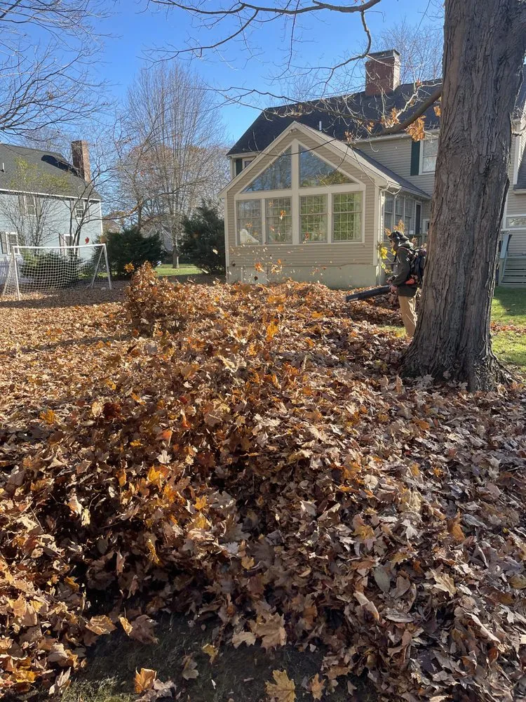 Trusted lawn care service in North Hampton, NH - Anchor Landscape