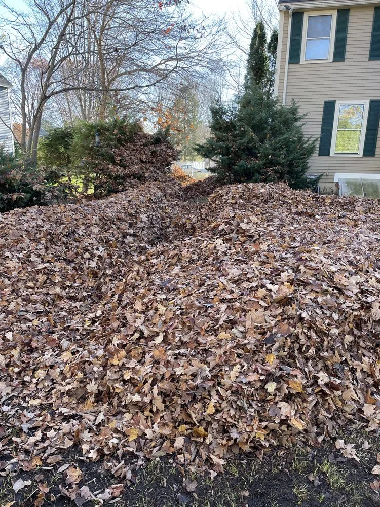 Custom yard cleanup service for outdoor upgrades across North Hampton, NH - Anchor Landscape