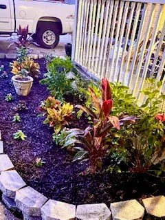 Top-rated landscape design for beautiful yards in Pensacola, FL by Anchor Landscaping Services