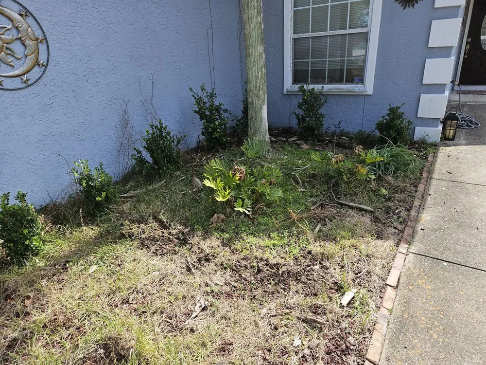 Expert outdoor landscaping for residential properties in Panama City, FL by Anchor Lawn and Handyman Services