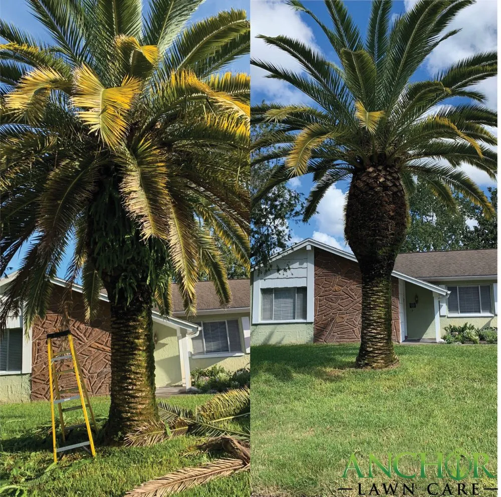 Affordable residential landscaping in New Port Richey, FL by Anchor Lawn Care