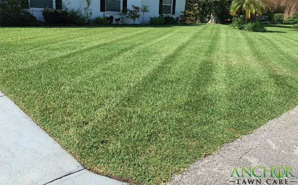 Local residential landscaping for year-round maintenance in New Port Richey, FL by Anchor Lawn Care