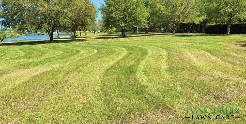 Custom yard cleanup service in New Port Richey, FL by Anchor Lawn Care